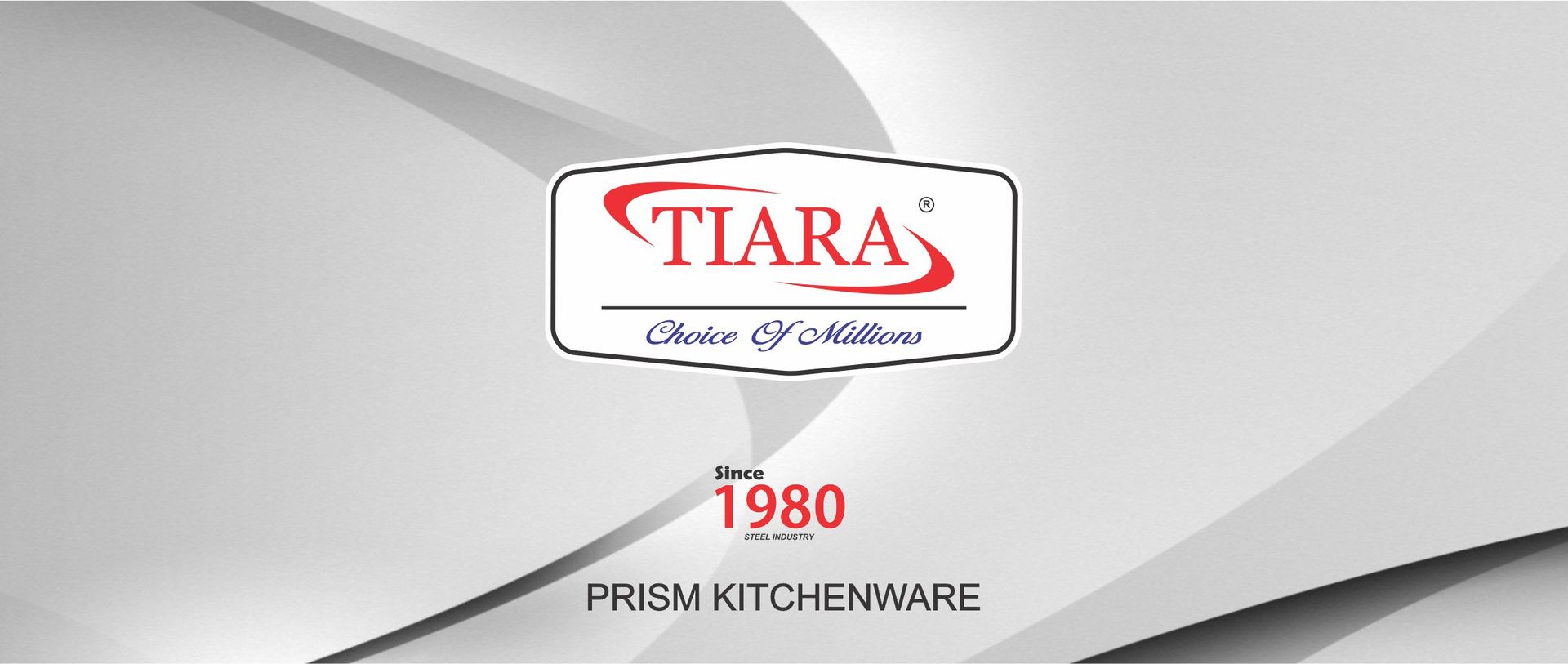 TIARA 12Pc Masala Spoon Heavy Guage Stainless Steel Small Spoon Mini Spoon for Masala Containers Spoon Set for Home/Kitchen Length 8cm (12Pc)