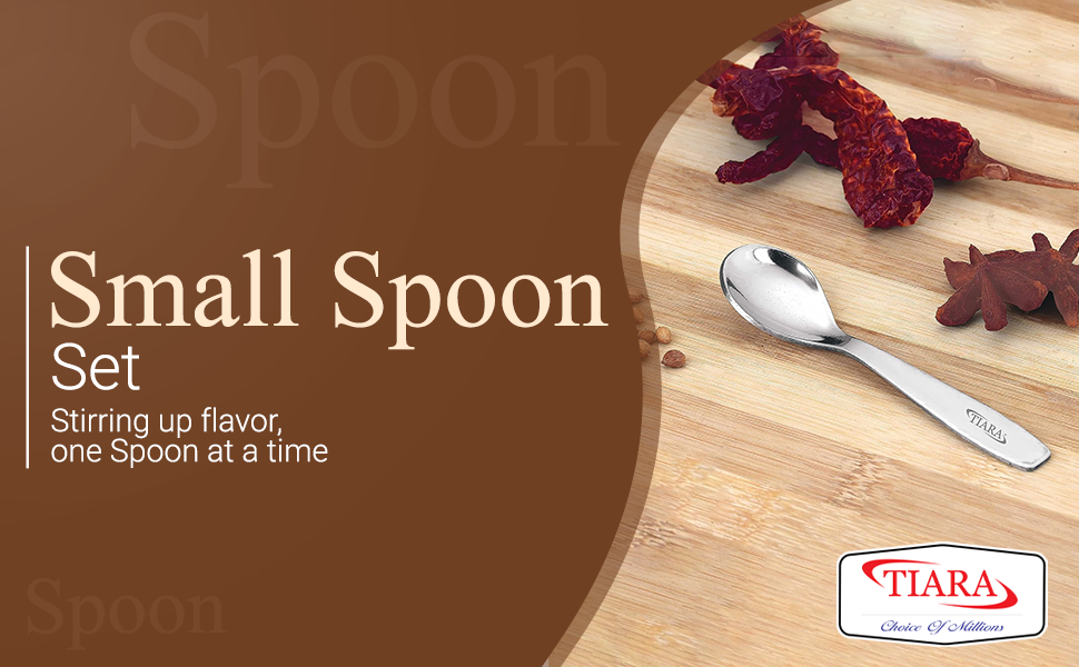 TIARA 12Pc Masala Spoon Heavy Guage Stainless Steel Small Spoon Mini Spoon for Masala Containers Spoon Set for Home/Kitchen Length 8cm (12Pc)