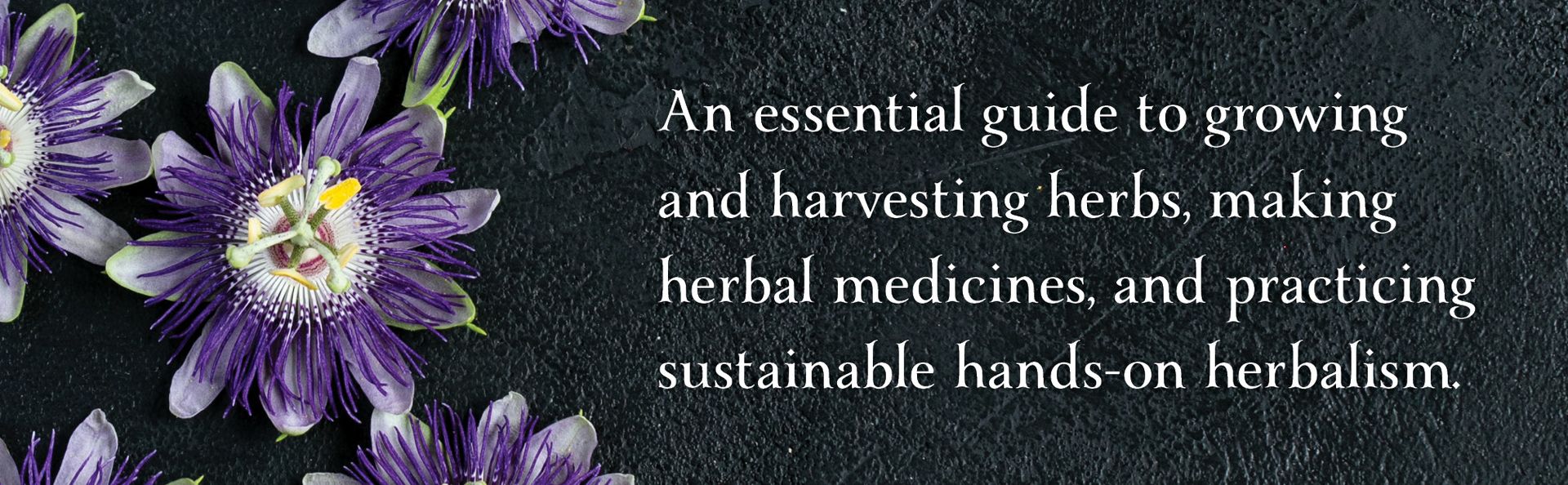 The Healing Garden: Cultivating and Handcrafting Herbal Remedies ― A Photographic Gardening Guide with 30 Plant Profiles and 70 Wellness Recipes