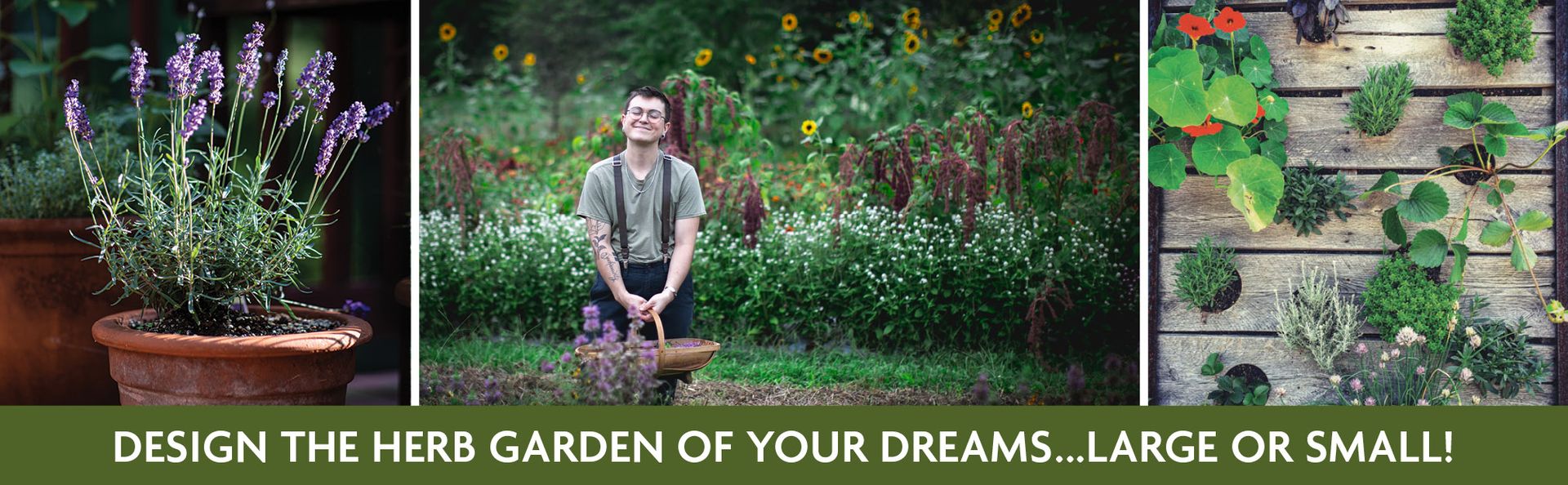 The Healing Garden: Cultivating and Handcrafting Herbal Remedies ― A Photographic Gardening Guide with 30 Plant Profiles and 70 Wellness Recipes