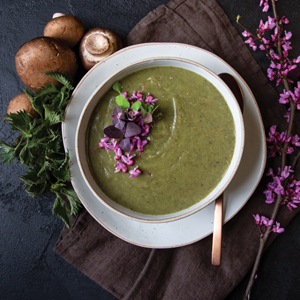 The Healing Garden: Cultivating and Handcrafting Herbal Remedies ― A Photographic Gardening Guide with 30 Plant Profiles and 70 Wellness Recipes