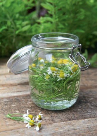 Garden Alchemy: 80 Recipes and Concoctions for Organic Fertilizers, Plant Elixirs, Potting Mixes, Pest Deterrents, and More