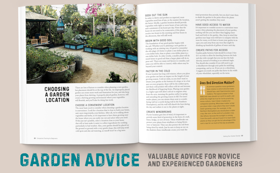 Companion Planting for Beginners: Pair Your Plants for a Bountiful, Chemical-Free Vegetable Garden