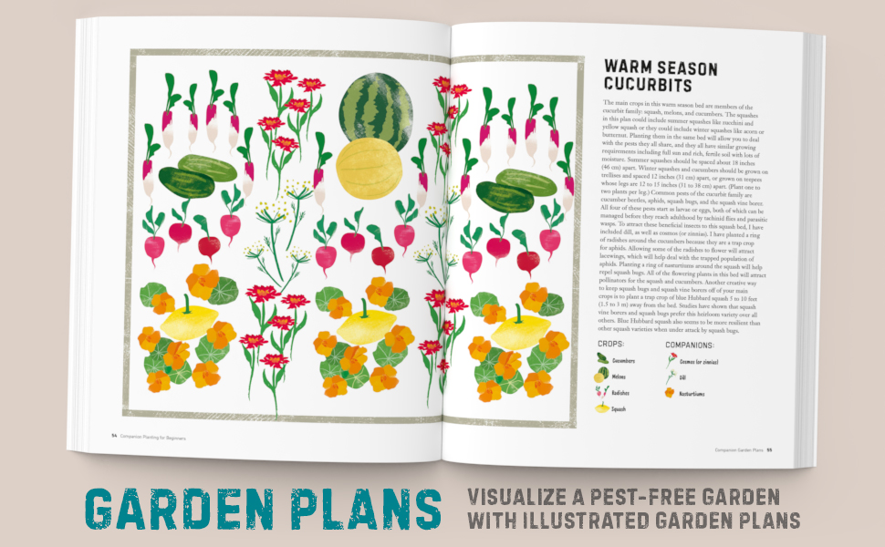 Companion Planting for Beginners: Pair Your Plants for a Bountiful, Chemical-Free Vegetable Garden