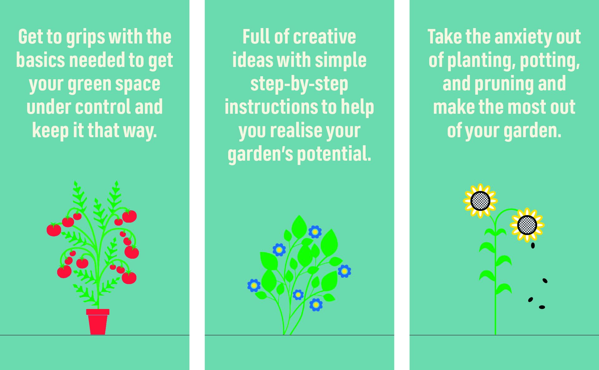 Beginner Gardening Step by Step: A Visual Guide to Yard and Garden Basics
