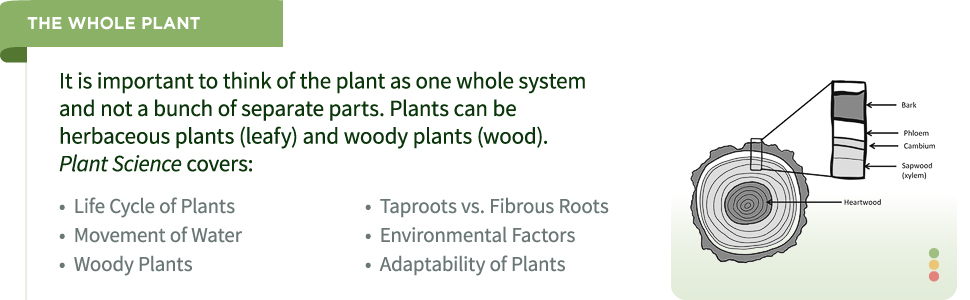 Plant Science for Gardeners: Essentials for Growing Better Plants (Garden Science Series, 2)