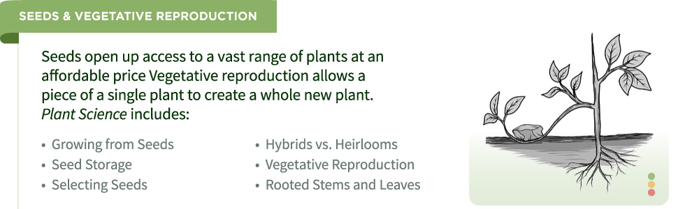 Plant Science for Gardeners: Essentials for Growing Better Plants (Garden Science Series, 2)