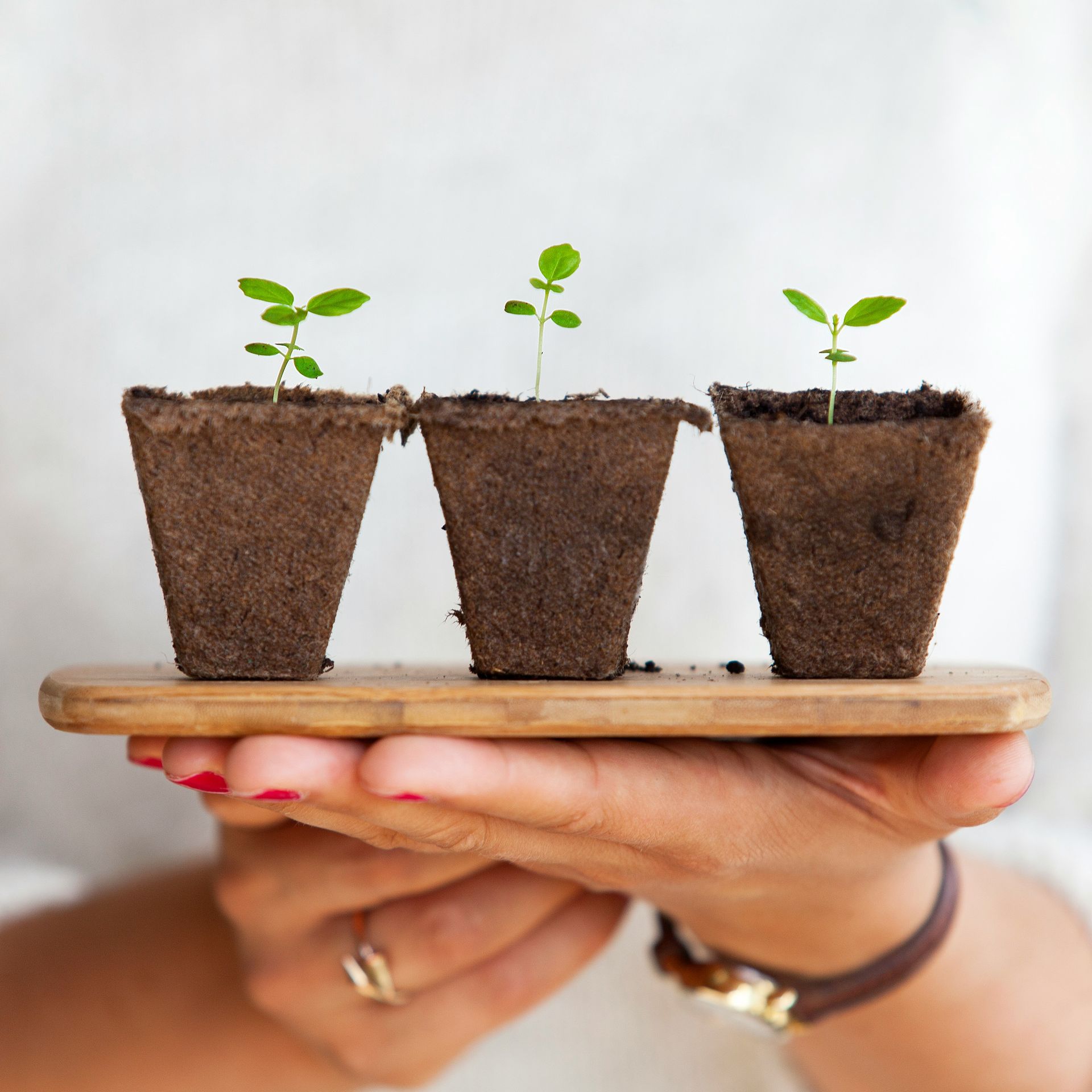 Companion Planting for Beginners: Your Guide to Easily Introduce Natural Pest Controls, Improve Soil Health, and Enjoy an Abundance of Organic Vegetables, Even for the First-Time Gardener