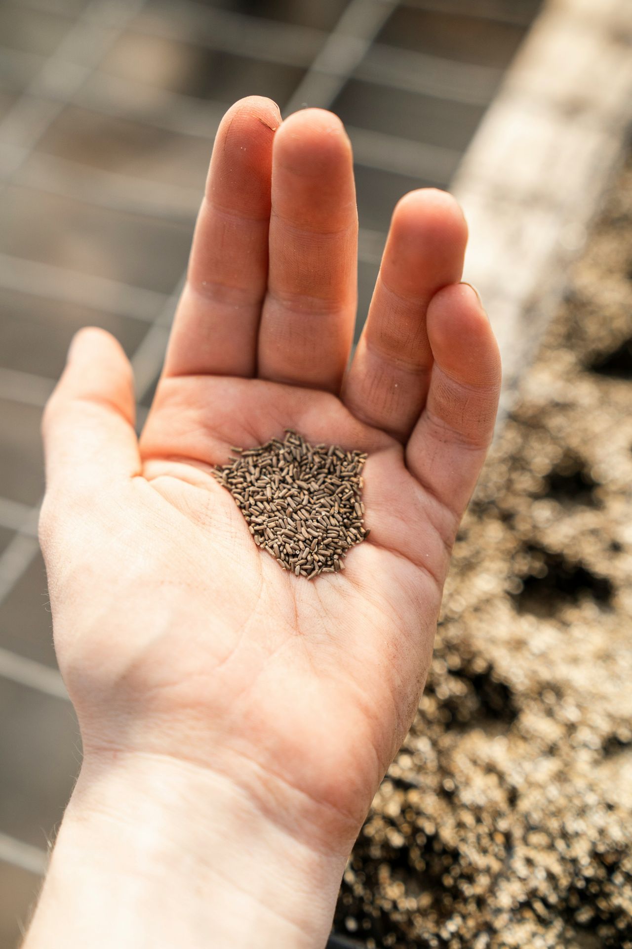 Companion Planting for Beginners: Your Guide to Easily Introduce Natural Pest Controls, Improve Soil Health, and Enjoy an Abundance of Organic Vegetables, Even for the First-Time Gardener