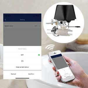 Protium Smart Water Valve, WIFI Control Water Valve manipulator Compatible with Alexa, and smart life app