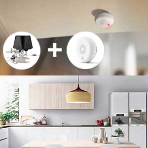 Protium Smart Water Valve, WIFI Control Water Valve manipulator Compatible with Alexa, and smart life app