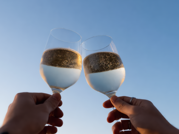 Red or White Wine Glass 2 Pcs, Crystal Wine Glasses,360 ml,Crtsyal Party Glasses - (Set of 2)