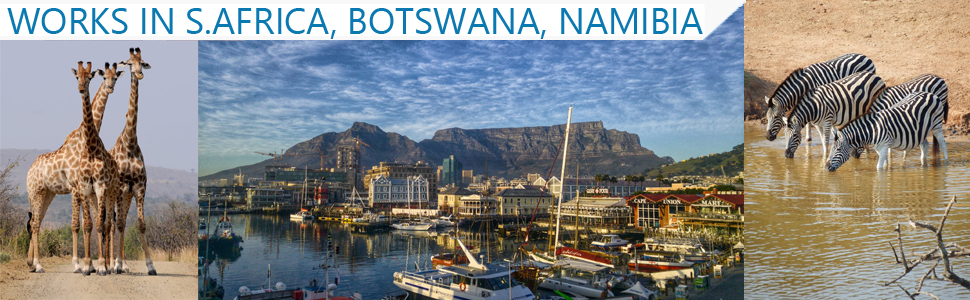 Ceptics India to South Africa, Botswana, Namibia & More (Type M) Travel Adapter Plug - CE Certified - RoHS Compliant (GP-10L)