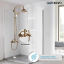 antique-brass-shower-system-8-rainfall-s-2.jpg