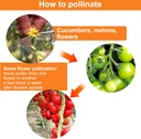 pollinating-brush-for-improving-pollinat-5.jpg