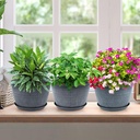 quarut-10-inch-flower-pots-planters-for--5.jpg