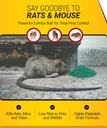 kaput-rat-mouse-bait--effective-warfarin-4.jpg