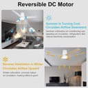 52-ceiling-fans-with-lights-remote-contr-6.jpg