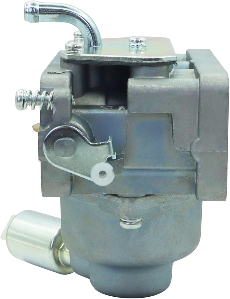 carburetor-compatible-with-bs-791230-799-6.jpg