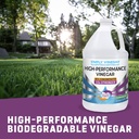 industrial-strength-49-vinegar-high-perf-3.jpg