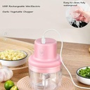 wireless-food-chopper-2025-new-usb-recha-3.jpg