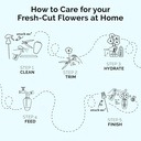 floralife-fresh-cut-flower-food---sachet-6.jpg