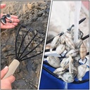 cabilock-clam-rake-for-clamming-2pcs-cla-5.jpg