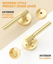 asidrama-1-pack-privacy-gold-door-handle-3.jpg