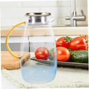 gleavi-glass-water-pitcher-with-stainles-3.jpg