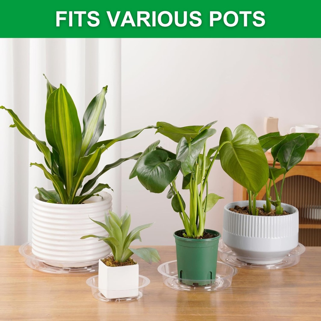 catiflin-24-pack-clear-plant-saucers---6-2.jpg