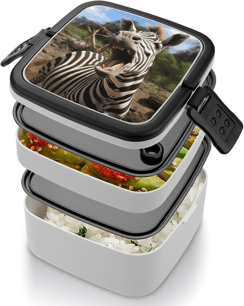 bento-lunch-box-for-women-lunch-containe-4.jpg