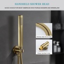 gold-shower-system-brushed-gold-shower-f-4.jpg