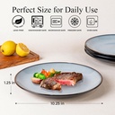 leratio-ceramic-dinner-plates-set-of-6-1-2.jpg