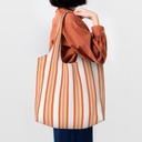 colorful-stripes-canvas-tote-bags-for-wo-6.jpg