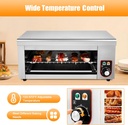 2000w-salamander-broiler-electric-cheese-3.jpg
