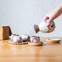 japanese-sake-set-ceramic-wine-set-cat-d-4.jpg