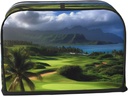 scenic-hawaii-golf-tropical-2-slice-toas-2.jpg