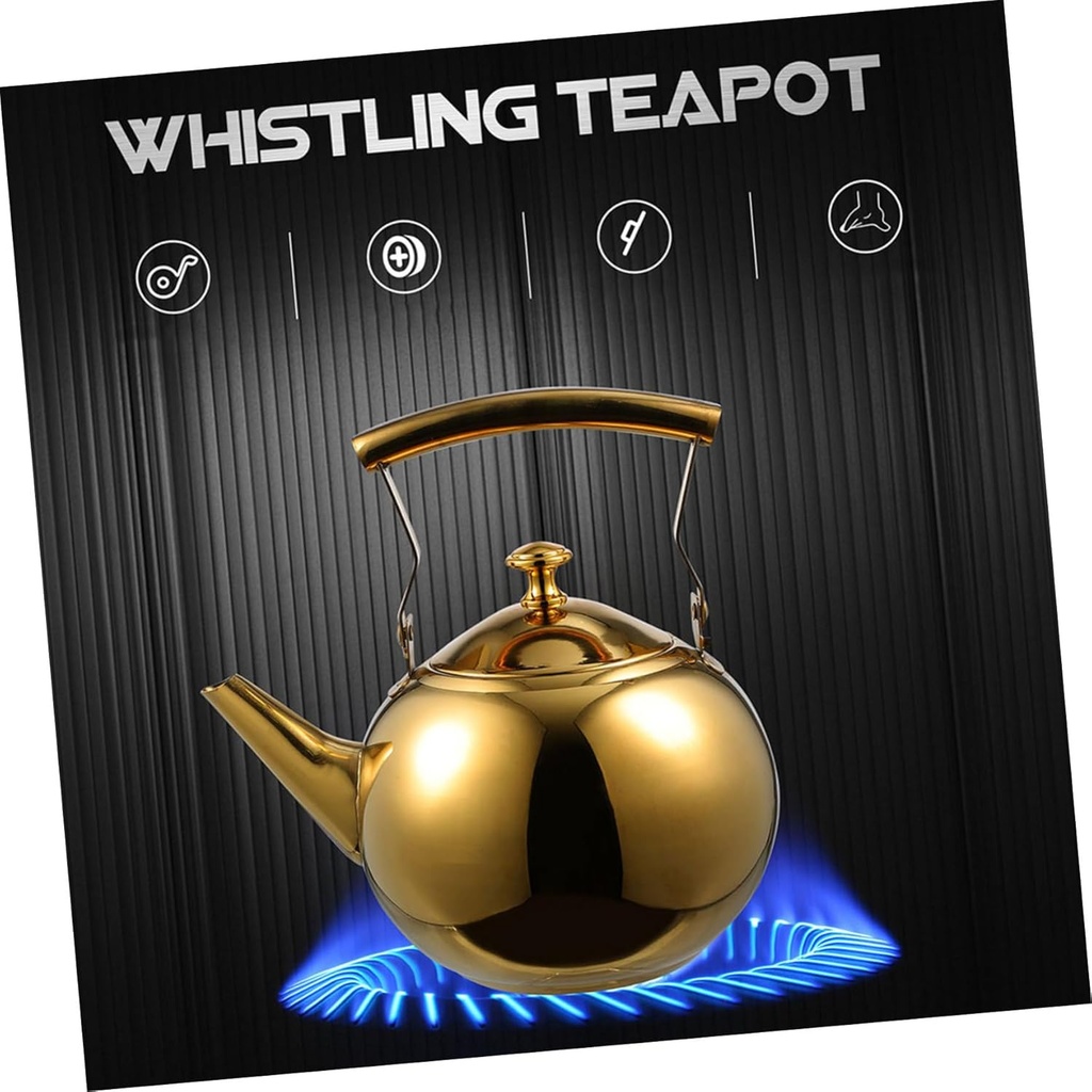 bestoyard-stainless-steel-tea-kettle-wit-2.jpg