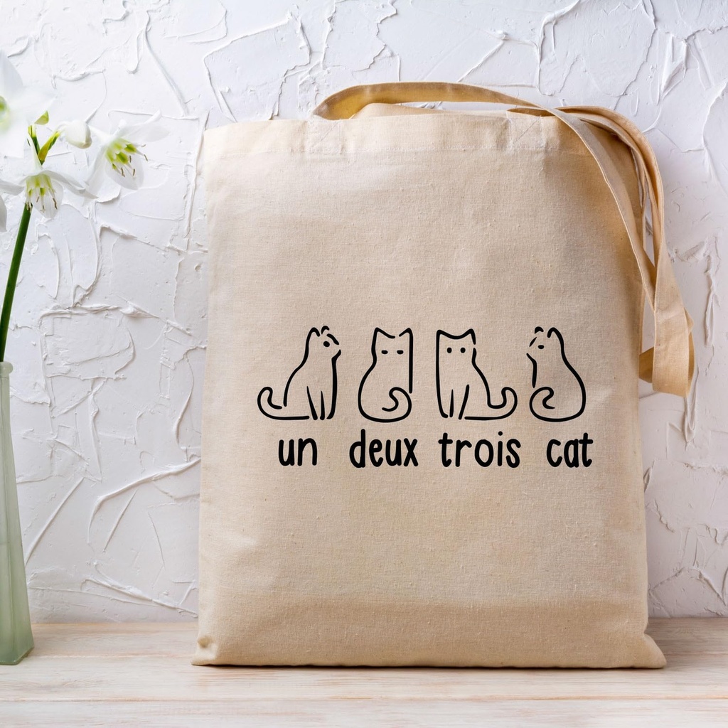 funny-un-deux-trois-cat-gift-cool-kitty--6.jpg