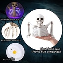 10-inch-halloween-skeleton-with-differen-3.jpg