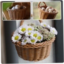 decorative-wall-basket-creative-flower-b-5.jpg
