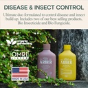 organic-insecticide-fungicide-for-plants-2.jpg