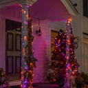 dazzle-bright-purple-orange-halloween-33-4.jpg