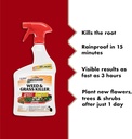 spectracide-weed-grass-killer-2-use-on-d-2.jpg
