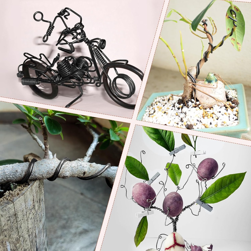bonsai-training-wire-kit-for-bonzai-tree-5.jpg