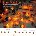 halloween-lights-pumkin-lights-10ft-20le-4.jpg