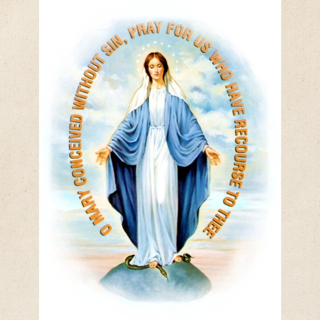 cafepress-miraculous-medal-tote-bag-natu-2.jpg