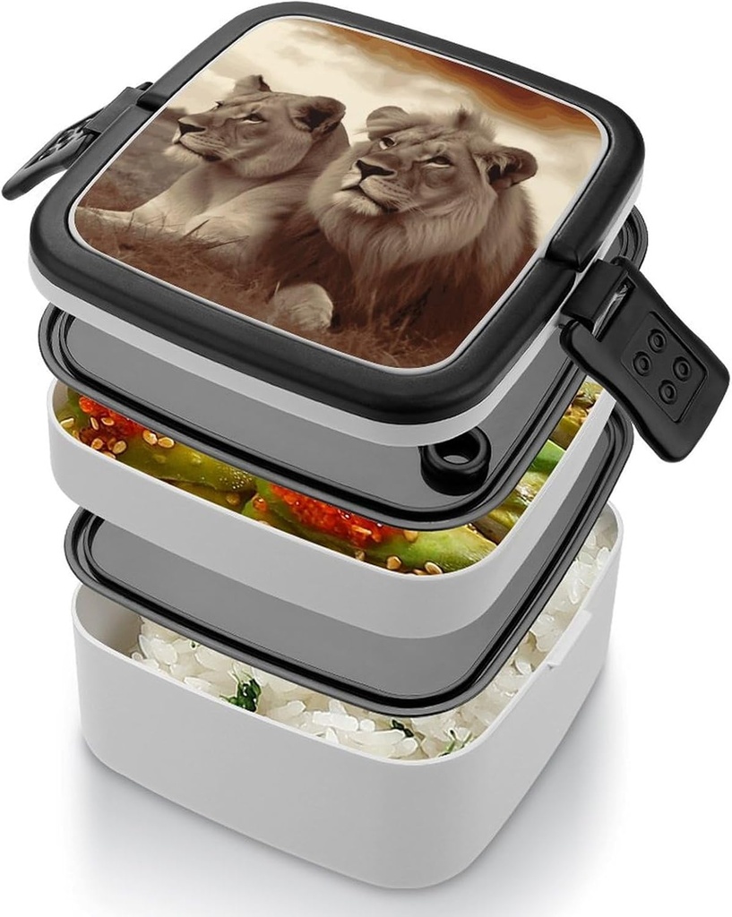 african-lion-and-lioness-bento-box-with--4.jpg