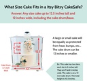 cakesafe-reusable-itsy-bitsy-cake-transp-2.jpg