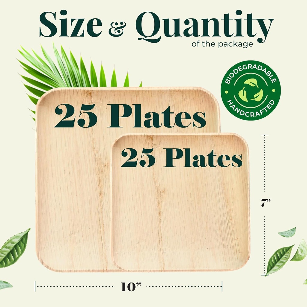 palm-leaf-plate-bamboo-paper-plates-disp-5.jpg